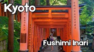 ️ Kyoto, Japan - Fushimi Inari Shrine - Walk to the top | 4K