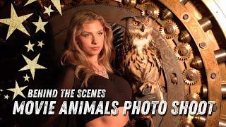 Movie Animals | Behind The Scenes | Wildlife Command Center 