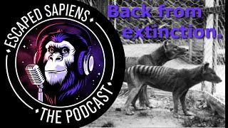 Can we bring back the tasmanian tiger? | Ben Novak | Escaped Sapiens Podcast