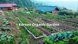 A year of farming diary of an organic vegetable garden in a Korean countryside house~!!