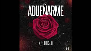 ADUEÑARME - NIVEL CODICIADO