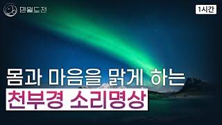 몸과 마음을 맑게 하는 천부경 소리명상 1시간 | #소리명상 #만월도전 #선도명상 #k명상