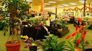 Watanabe Floral Company Overview | Watanabe Floral - Honolulu, Hawaii Florist Flower Shop