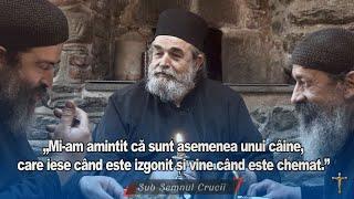 „Mi-am amintit ca sunt asemenea unui caine, care iese cand este izgonit si vine cand este chemat.”