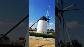 MOLINO DE VIENTO EN TORRE PACHECO MURCIA ESPAÑA