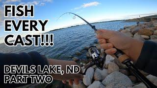 White Bass Fishing - Fish EVERY CAST! Devils Lake, ND - Part Two (Nuv Tses)