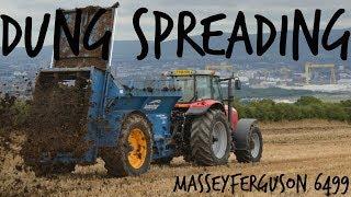 Spreading Dung With Massey Ferguson 6499