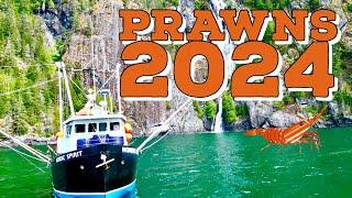 FISHING SPOT PRAWNS 2024 PART 1