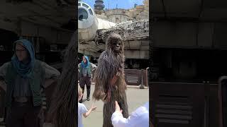 Chewbacca Wookiee Walks Through Disney's Hollywood Studios Star Wars: Galaxy's Edge #wookiee