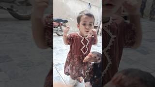 Hussain r Fatima kids love for birds#birds #aseel #chicks #kids #hussain #fatima #short #viralshort