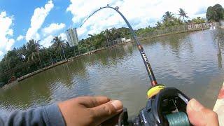 MANCING DI KOLAM AIR MASIN .. MENGASAK DI KOLAM NASIR JOHOR .. HASIL 3 JAM .. #abugarciaforlife