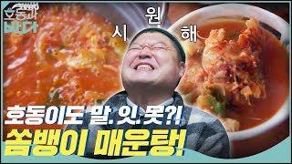 호동이도 말.잇.못? 차원이 다른 시원함의 쏨뱅이 매운탕 | 호동과 바다 Hodong and Sea EP.4