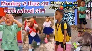 IFRAZ এর সাথে monkey ও  school  এ গেল | monkey Ifraz এর chips  চুরি করে খেলো #youtubevideo