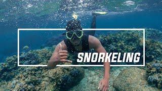 SNORKELING AT PIGEON ISLAND | Extreme Adventure Sri Lanka