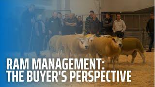 Ram Management: The Buyer's Perspective