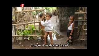 I-Witness: "Mga Anak ng Pugad Lawin", a documentary by Kara David (with English subtitles)