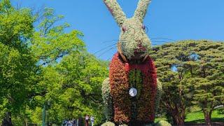 Wonderland: Curious Nature at NYBG