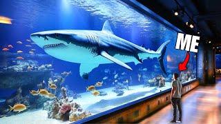 What's Inside Disney's $100,000,000 Aquarium?