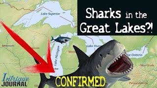 [2024] DOCUMENTED Bull Sharks in Great Lakes?!   Lake Michigan & Mississippi River [confirmed!]