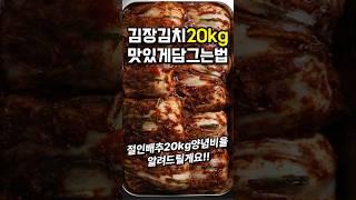 김장김치20kg맛있게담그는법 #shorts