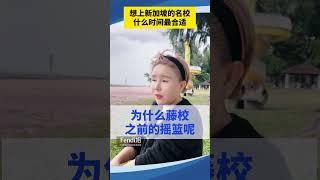 想上新加坡的名校什么时间最合适 #新加坡 #新加坡移民 #新加坡生活