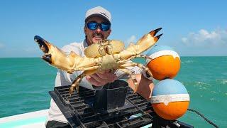 Stone Crab Season is OPEN!!! Catch and Cook