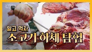 소고기 4분도체 하체 부위 발골! #1 알고 먹자 소고기 하체 탐험