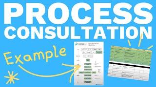 What Do Process Consultants Do?