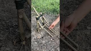 Trap in the Forest! #survival #outdoors #bushcraft