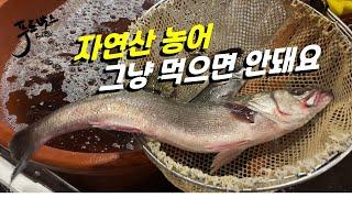 자연산 농어 그냥 먹으면 안되는 이유가 ...?!