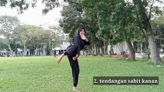 Pencak Silat_Tendangan