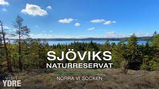 Sjöviks Naturreservat, Ydre