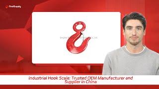 Industrial Hook Scale: Trusted OEM Manufacturer and Supplier in China