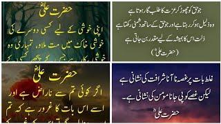 Hazrat Ali Urdu Quotes || Hazrat Ali ka farman || Urdu Lines @meerstudio03