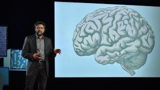 How your brain decides what is beautiful | Anjan Chatterjee