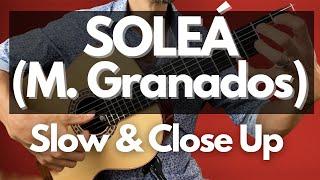 Soleá by Manuel Granados • Slow for Practice