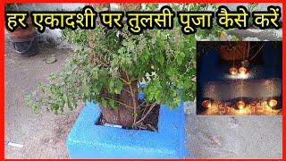 एकादशी पर तुलसी पूजा कैसे करें !! Ekadashi ke din Tulsi Puja kaise kare !!Ekadashi Puja 2021