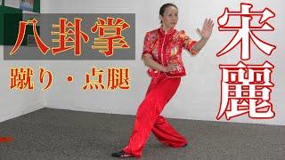 八卦掌　BAGUA-ZHANG　点腿　DIAN TUI　宋麗　sensei SONG-LI