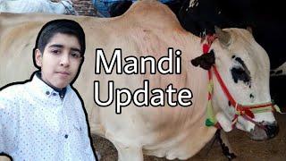 Bakra Mandi Pakistan ( RAWALPINDI ) - VLOG # 22 | Bakra Mandi Vlog