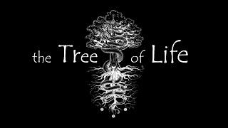 The Tree of Life