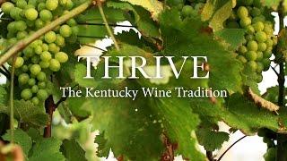 Thrive: The Kentucky Wine Tradition (Full Documentary)