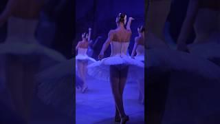 Amazing backstage moments ️ #ballet #classic #balletdance #swanlake #ballerina