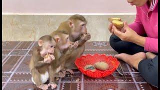 3 Siblings Sit Eating Boiled Potatoes Together With Mom Very Sweet & Deliciously ,