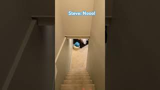 AN ENDER PEARL 🪩 #marvel #funny #chickenjockey #iamsteve