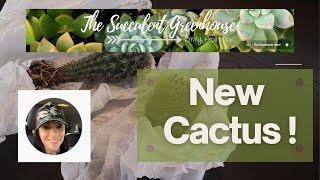 New Cacti from The Succulent Greenhouse | #cactus #plantmail