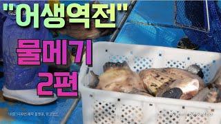 거져먹는 물메기 통발 2편