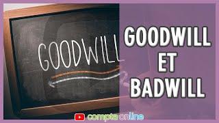 La notion de goodwill ou de badwill