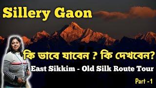 Sillery Gaon | Sillery Gaon Tour | Offbeat 2021 |Sillery Gaon Sightseeing | East Sikkim Tour| Part-1