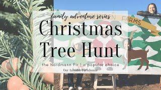 Nordmann Fir, A Christmas Tree for the Farmhouse | Family Adventure Series