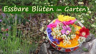 Essbare Blüten im Garten 